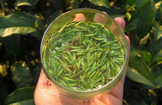 浙江开化龙顶属于什么茶_开化龙顶价格多少钱-第12张-开化龙须茶-凤凰单丛茶网