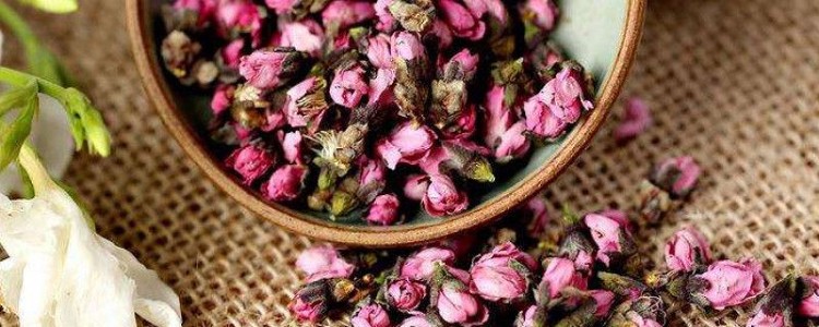 2024桃花茶怎么喝
