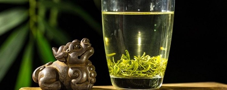 2024毛尖茶的泡法