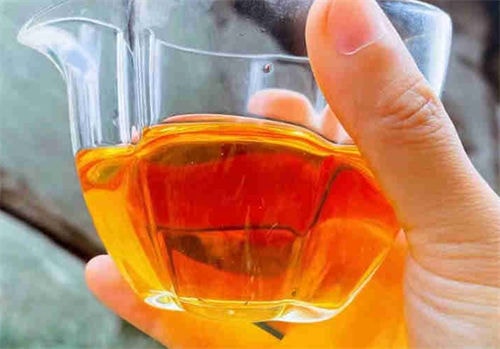 大红袍的完美冲泡(掌握正确水温,品尝出不一样的味道)-第1张-茶叶知识-凤凰单丛茶网