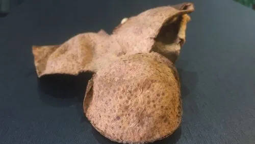 什么样的新会陈皮具有收藏价值-第3张-陈皮-凤凰单丛茶网