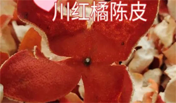 川红橘陈皮好还是新会陈皮好