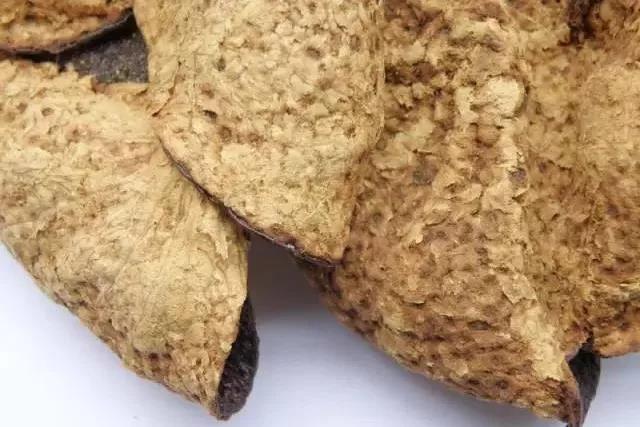 陈皮和青皮有什么不一样吗-第1张-陈皮-凤凰单丛茶网