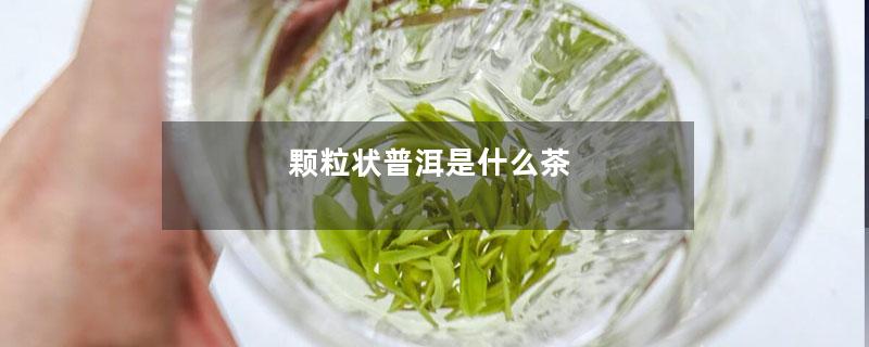 颗粒状普洱是什么茶-第1张-茶叶知识-凤凰单丛茶网
