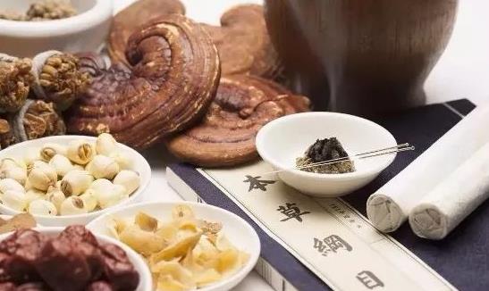 灵芝有什么药用价值能治什么病