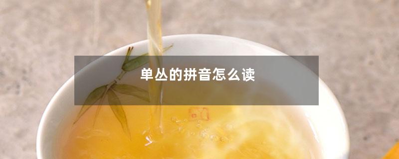 单丛的拼音怎么读-第1张-单丛茶-凤凰单丛茶网