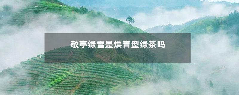 敬亭绿雪是烘青型绿茶吗-第1张-茶叶知识-凤凰单丛茶网