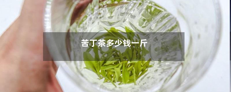 苦丁茶多少钱一斤