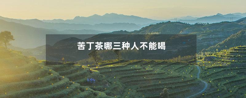 苦丁茶哪三种人不能喝
