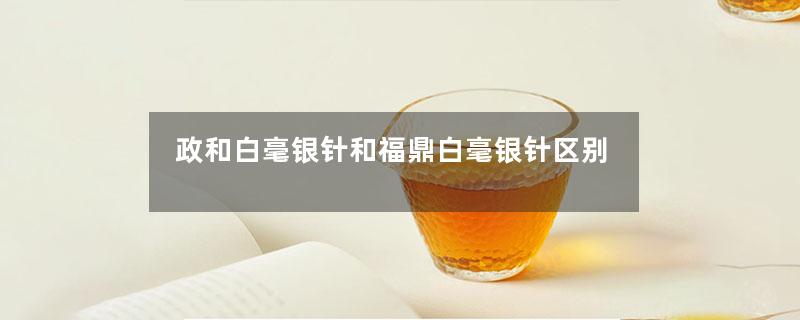 政和白毫银针和福鼎白毫银针区别