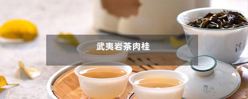武夷岩茶肉桂