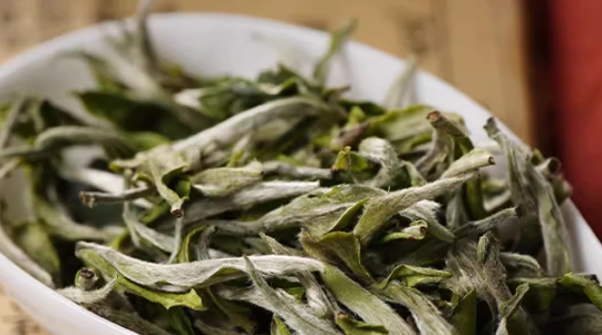 白牡丹茶和寿眉贡眉那个更好些呢(白牡丹VS寿眉：茶中之选)-第1张-白牡丹-凤凰单丛茶网