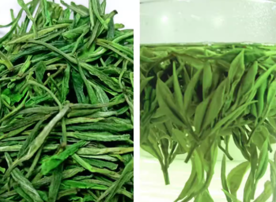 白岳黄芽是什么茶？百科、产地、价格、种类、冲泡方法、禁忌及其功效作用