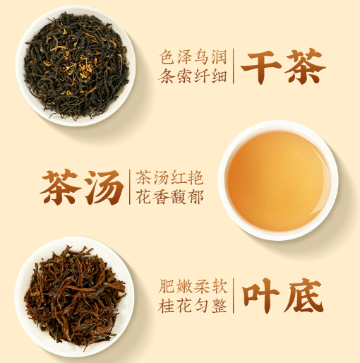 九曲红梅：江南红茶珍品的品质与魅力