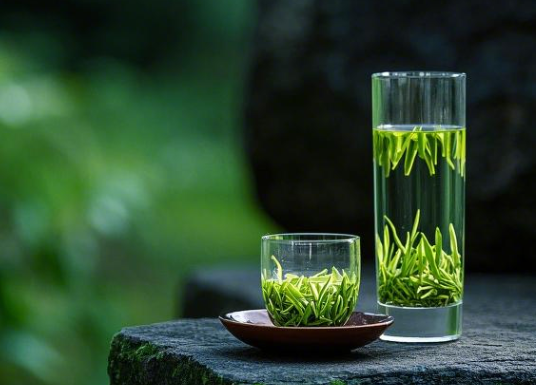 沩山毛尖价格全解析｜解锁千年贡茶的性价比密码