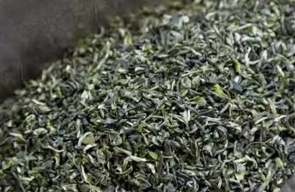 信阳毛尖价格与档次全解析：从口粮茶到顶奢私藏，一文破解选购核心逻辑