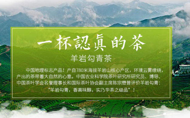 羊岩勾青茶：浙江绿茶的“平民龙井”，200元起喝出千元级鲜爽！
