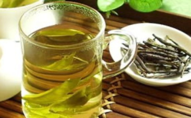 苦丁茶与茶叶的区别