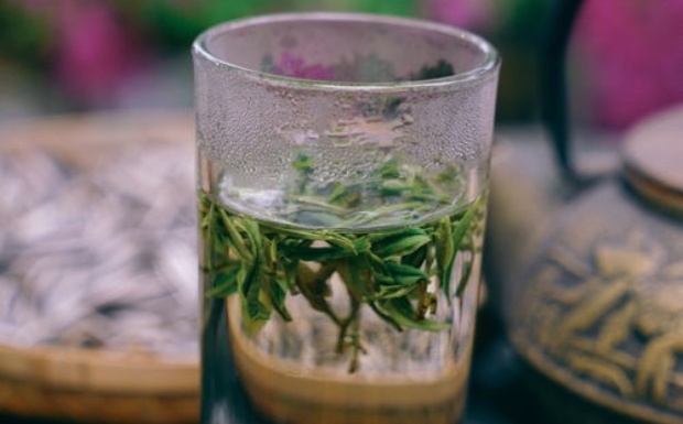 宁波白茶什么档次