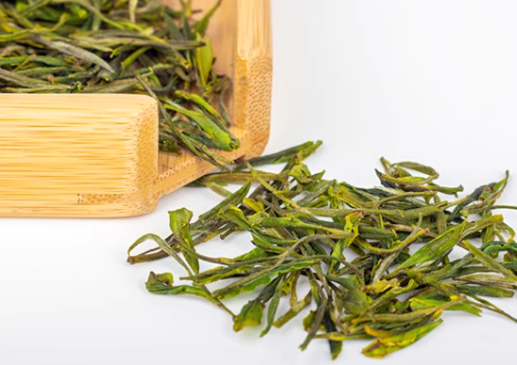 东白春芽：浙江高山“明前珍品”，220元起品味云端茶韵！