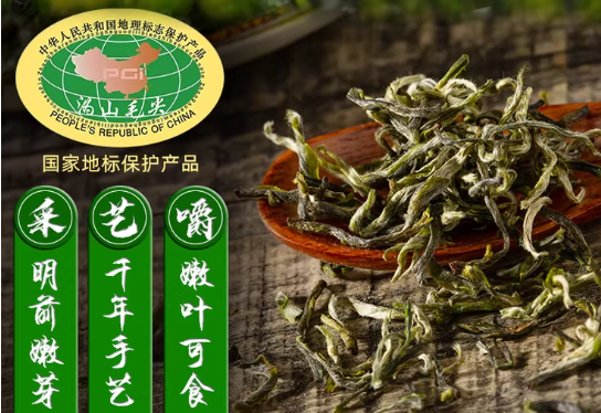 沩山毛尖价格与档次全解析：黄茶中的