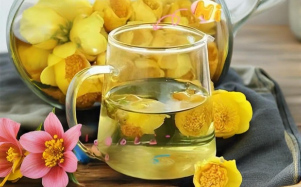 金莲花茶哺乳期能喝吗
