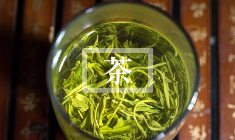 2024苦丁茶对男人的副作用