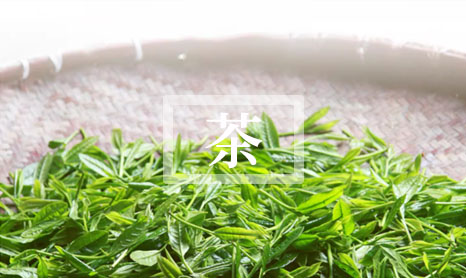 2024正山小种怎么泡才好