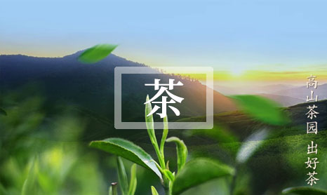 乌龙茶价格一览表 乌龙茶价格一览表-第1张-茶叶知识-凤凰单丛茶网