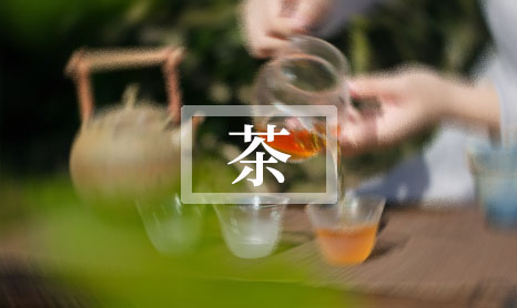202412年生普洱茶饼多少钱一斤（12年生普洱什么价格）-第1张-茶叶知识-凤凰单丛茶网