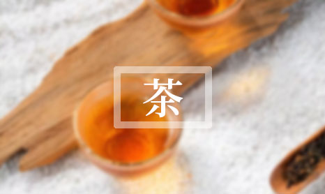 2024白茶价格表一览表（白茶多少钱一斤2024）