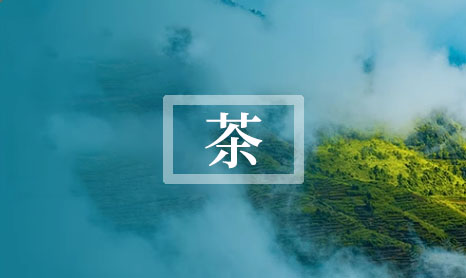 2024莓茶每斤1200元贵不贵（莓茶每斤1200元贵不贵呢）