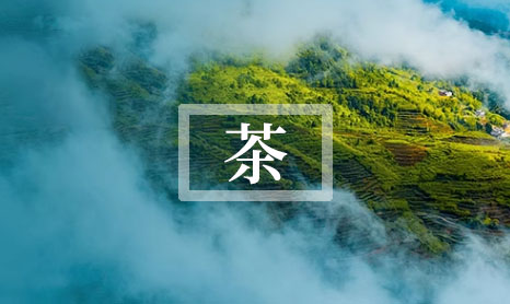 如何用茶柜存茶叶-第1张-茶叶知识-凤凰单丛茶网