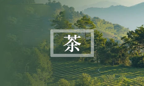 如何泡铁观音茶步骤 铁观音的泡法视频教程-第1张-茶叶知识-凤凰单丛茶网