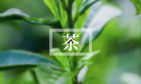 中国名茶前十名 莓茶产地哪里最正宗-第1张-茶叶知识-凤凰单丛茶网