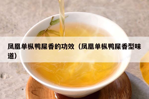 凤凰单枞鸭屎香的功效（凤凰单枞鸭屎香型味道）-第1张-单丛茶-凤凰单丛茶网