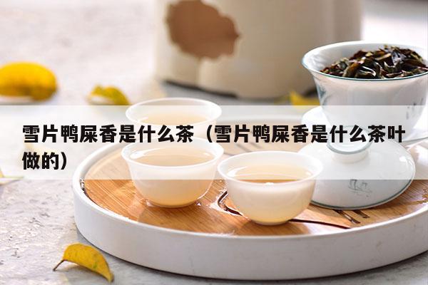 雪片鸭屎香是什么茶（雪片鸭屎香是什么茶叶做的）-第1张-单丛茶-凤凰单丛茶网