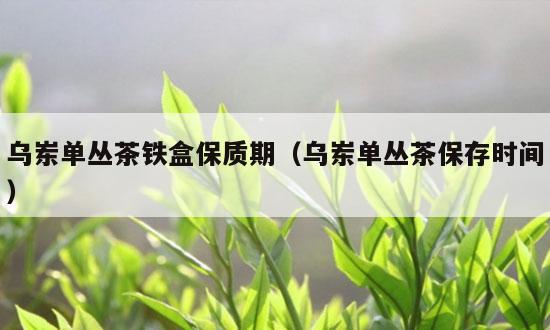 乌岽单丛茶铁盒保质期（乌岽单丛茶保存时间）-第1张-单丛茶-凤凰单丛茶网