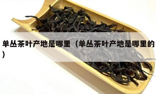 单丛茶叶产地是哪里（单丛茶叶产地是哪里的）-第1张-单丛茶-凤凰单丛茶网