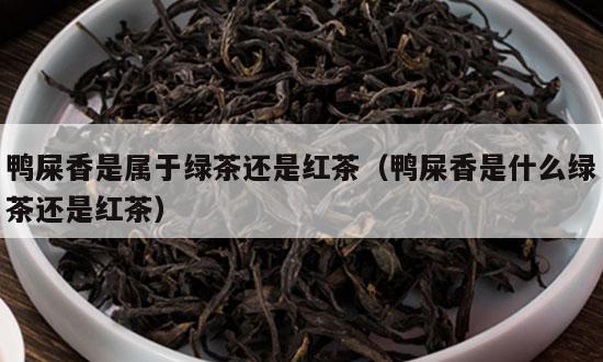 鸭屎香是属于绿茶还是红茶（鸭屎香是什么绿茶还是红茶）-第1张-单丛茶-凤凰单丛茶网