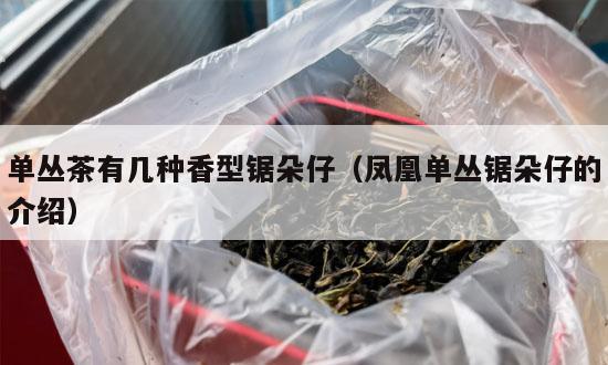 单丛茶有几种香型锯朵仔（凤凰单丛锯朵仔的介绍）-第1张-单丛茶-凤凰单丛茶网
