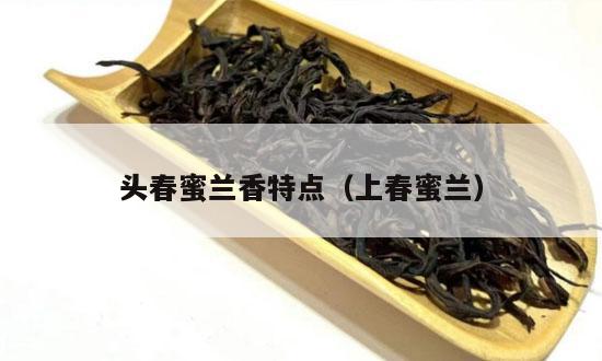 头春蜜兰香特点（上春蜜兰）-第1张-单丛茶-凤凰单丛茶网
