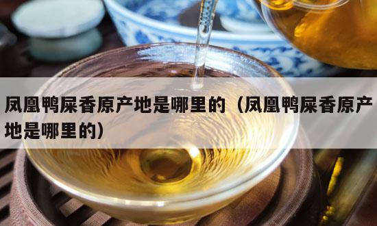 凤凰鸭屎香原产地是哪里的（凤凰鸭屎香原产地是哪里的）-第1张-单丛茶-凤凰单丛茶网