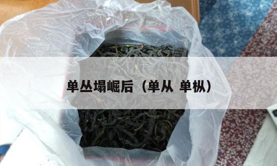 单丛塌崛后（单从 单枞）-第1张-单丛茶-凤凰单丛茶网