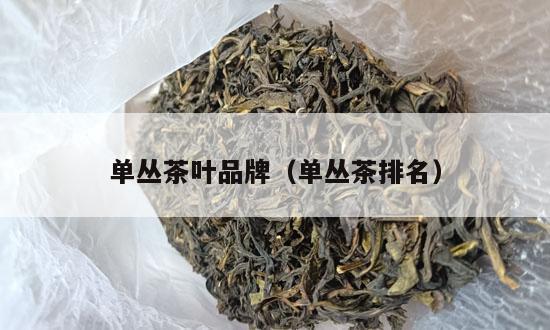 单丛茶叶品牌（单丛茶排名）-第1张-单丛茶-凤凰单丛茶网