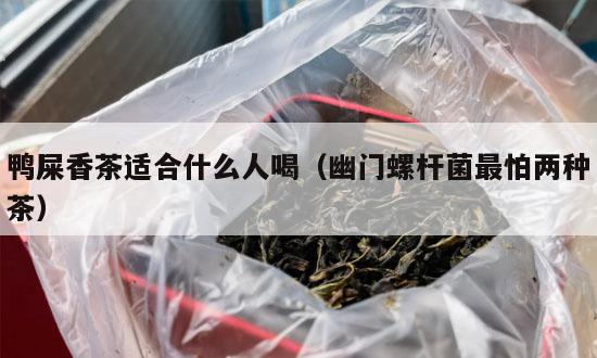 鸭屎香茶适合什么人喝（幽门螺杆菌最怕两种茶）-第1张-单丛茶-凤凰单丛茶网