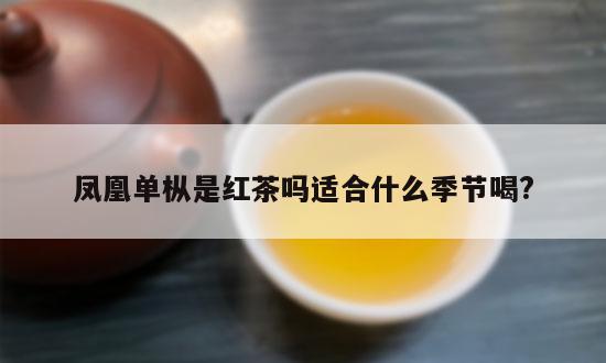 凤凰单枞是红茶吗适合什么季节喝?-第1张-单丛茶-凤凰单丛茶网