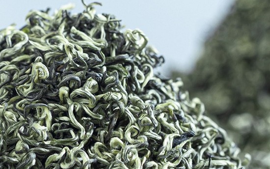 碧螺春属于什么茶？系？-第1张-碧螺春-凤凰单丛茶网