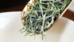 信阳毛尖冲泡后必须是直立的吗？