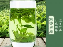龙井茶口感是不是越好越淡
